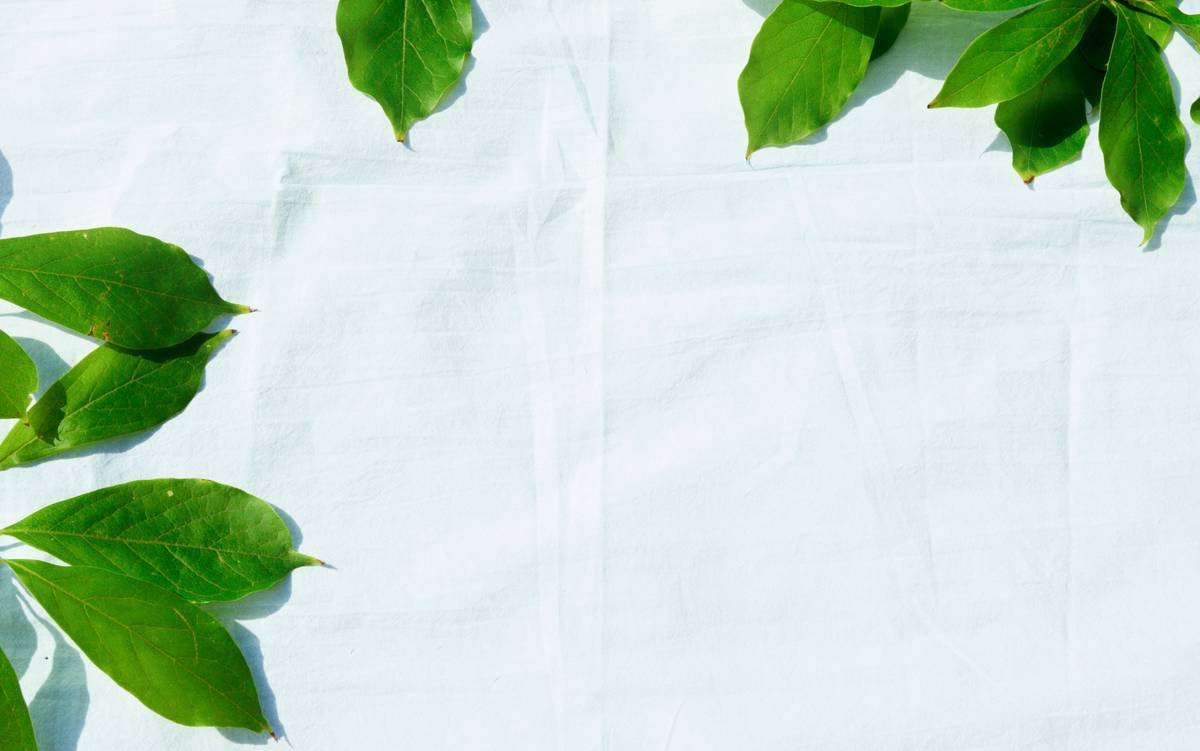 Why Your Skin Hates Conventional Wipes—And How Organic Makeup Remover Wipes Can Save It