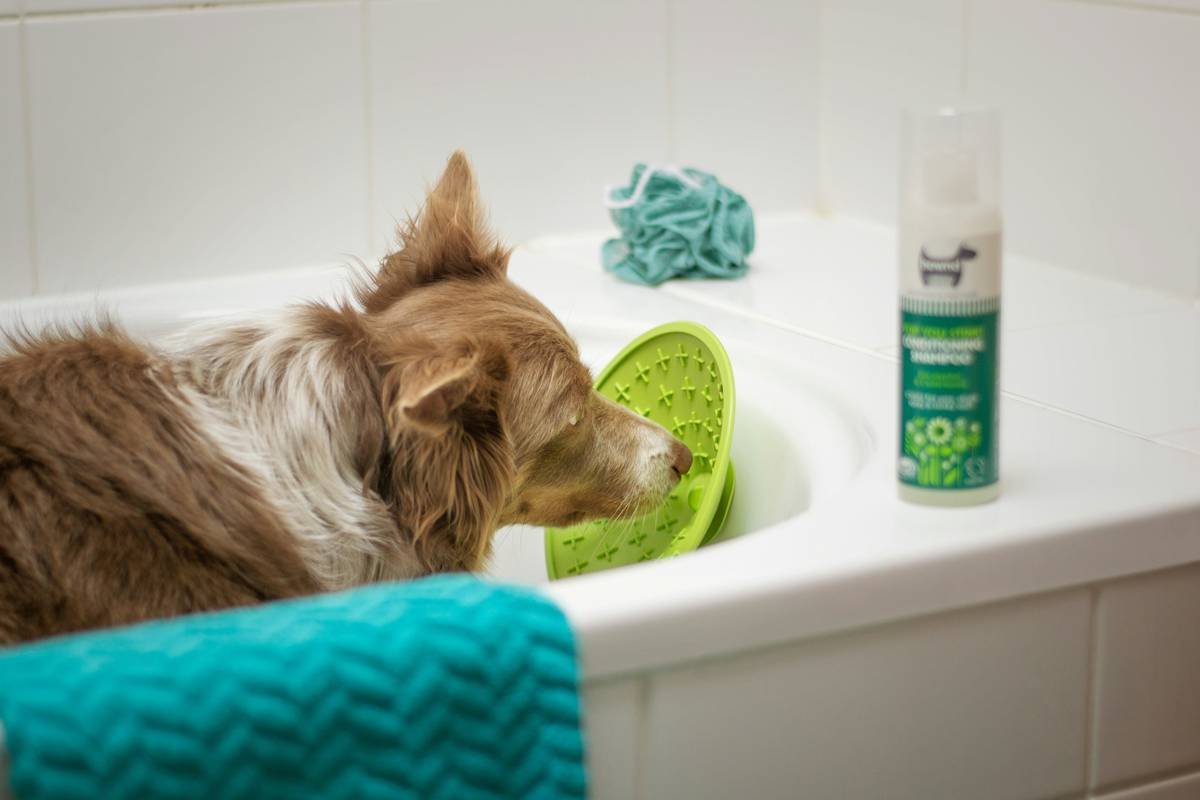 gentle cleansing wipes for dogs: The Safe, Natural Way to Keep Your Pup Fresh